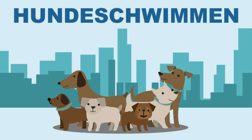 hundeschwimmen